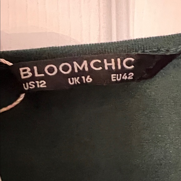 BloomChic Elegant Dark Green Long Sleeve Dress - Picture 2 of 3